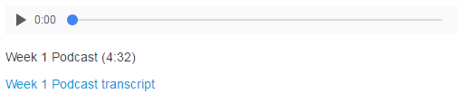 Example of how a podcast with a transcript might look