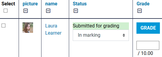 in marking on submission page