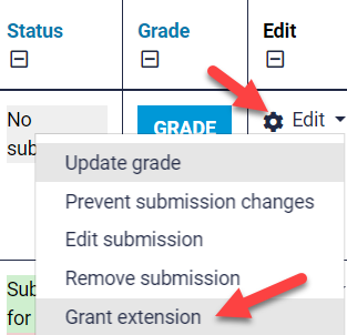 grant extension