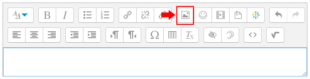 Image button in text editor toolbar