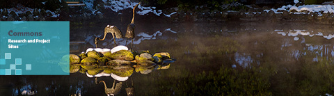 WebSpace | Publish, Reflect | Portfolio